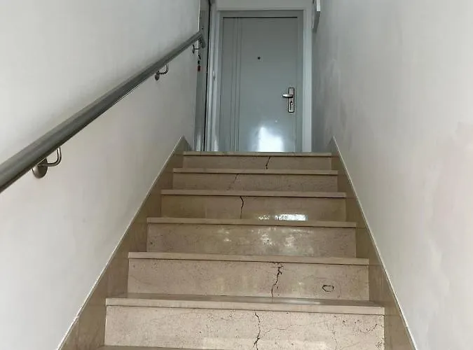 Dino 마카르스카