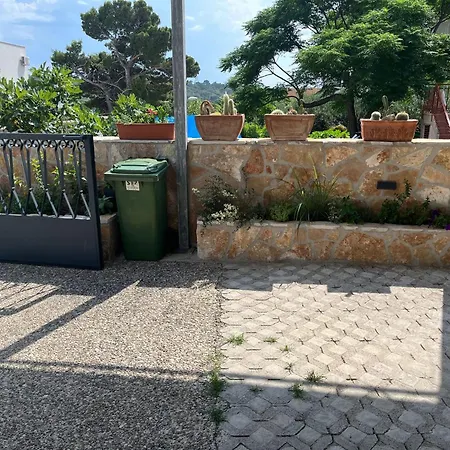 Dino *